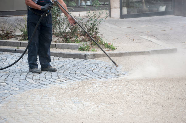 Best Driveway Pressure Washing  in Miami Gardens, FL