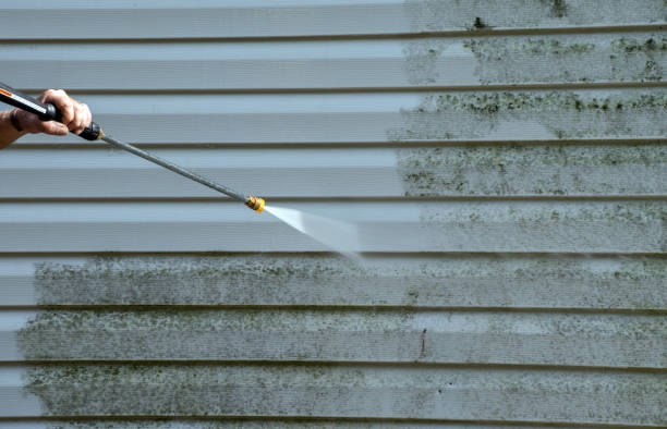 Best Patio and Deck Pressure Washing  in Miami Gardens, FL
